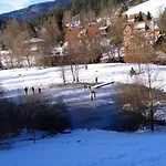 Ferienwohnung, Sauna & Gaestekarte Gratis Im Schwarzwald *