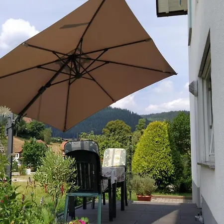 Ferienwohnung, Sauna & Gaestekarte Gratis Im Schwarzwald *