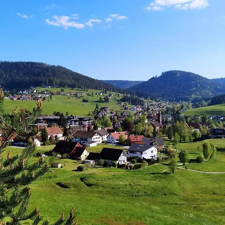 Ferienwohnung, Sauna & Gaestekarte Gratis Im Schwarzwald