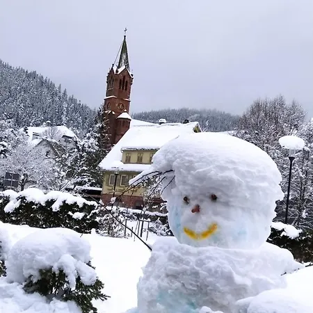 Daire Ferienwohnung, Sauna & Gaestekarte Gratis Im Schwarzwald Baiersbronn