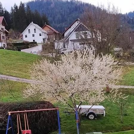 Ferienwohnung, Sauna & Gaestekarte Gratis Im Schwarzwald Apartamento