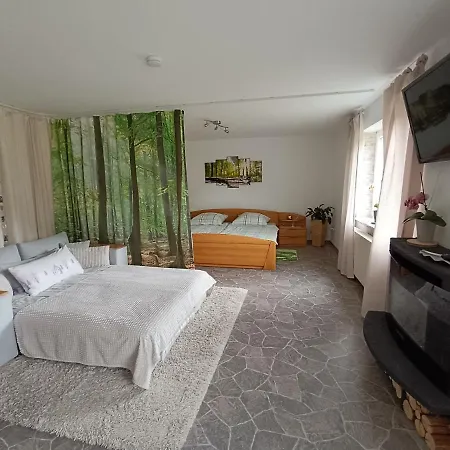 Lejlighed Ferienwohnung, Sauna & Gaestekarte Gratis Im Schwarzwald Baiersbronn