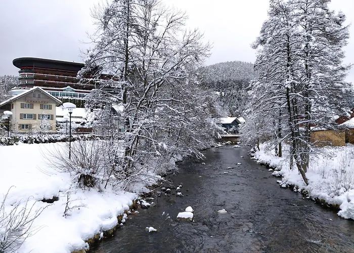 Apartment Ferienwohnung, Sauna & Gaestekarte Gratis Im Schwarzwald Baiersbronn